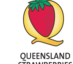 QLD Strawberries