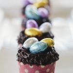 Chocolate Cupcake Nests
