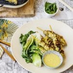 Grilled Macadamia Satay Chicken