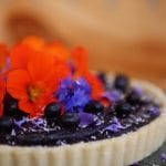 Raw Blueberry Tart