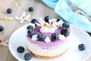 Raw Blueberry Vanilla Cheesecake